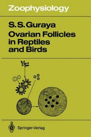 Cover of Ovarian Follicles in Reptiles and Birds
