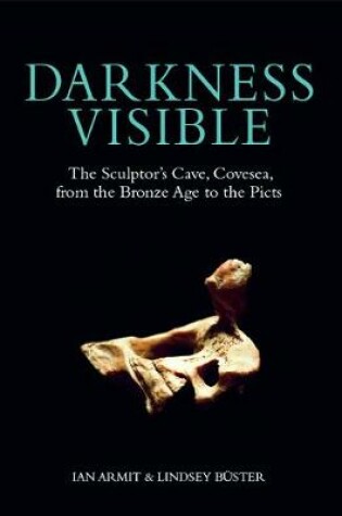 Cover of Darkness Visible