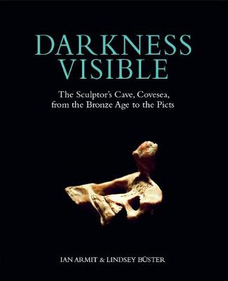 Book cover for Darkness Visible