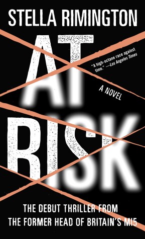 Book cover for At Risk