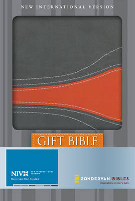 Book cover for 07 Spring Promo Gift Bible 1 - Wal-Mart