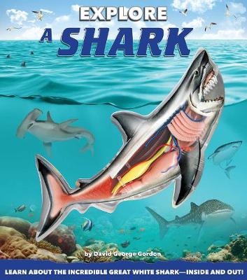 Book cover for Explore a Shark