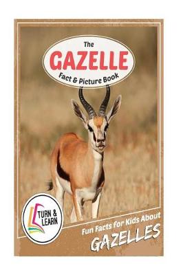 Book cover for The Gazelle Fact and Picture Book