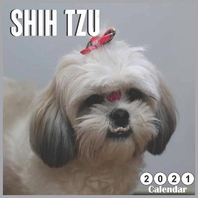 Book cover for Shih Tzu 2021 Calendar