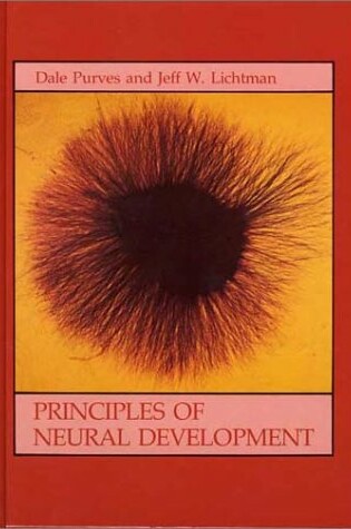 Cover of Principles of Neural Development