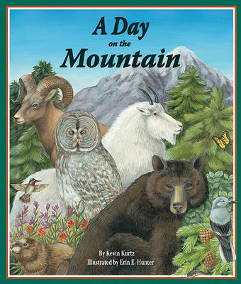 Book cover for A Day on the Mountain