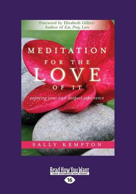 Book cover for Meditation for the Love of it