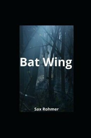 Cover of Bat Wing illustrated