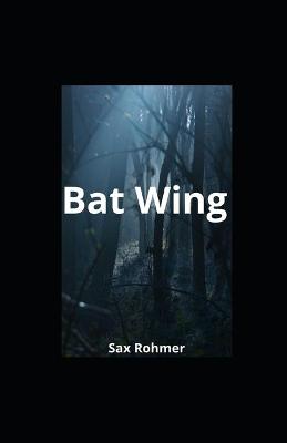 Book cover for Bat Wing illustrated