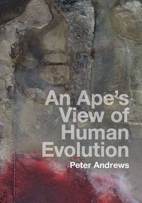 Book cover for An Ape's View of Human Evolution