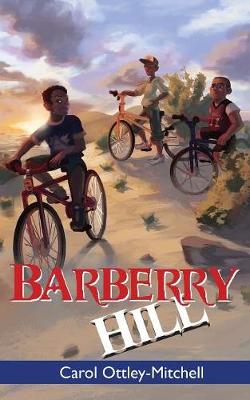 Book cover for Barberry Hill