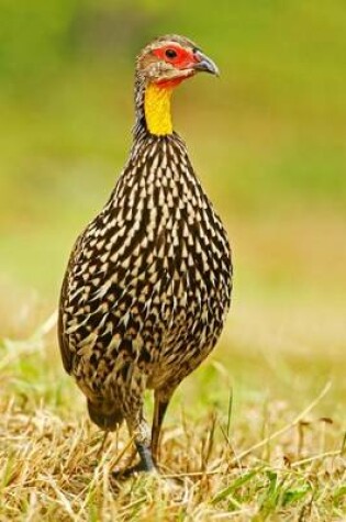 Cover of Yellow-Necked Spurfowl Francolin Bird Journal