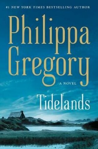 Cover of Tidelands