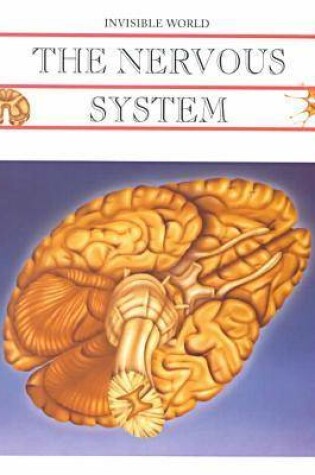 Cover of The Nervous System and the Brain