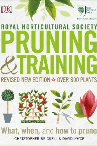 Cover of RHS Pruning and Training