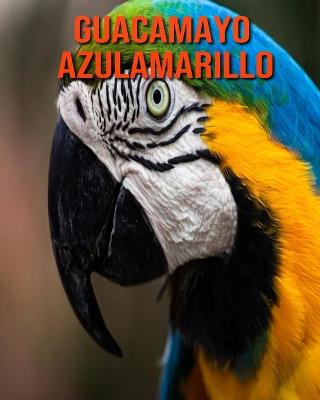 Book cover for Guacamayo azulamarillo