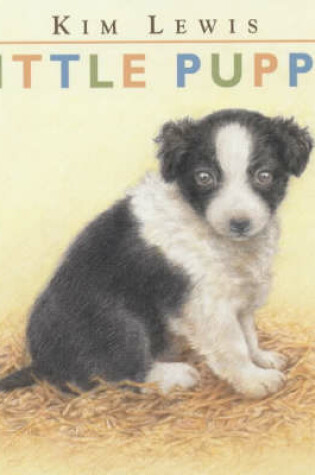 Cover of Little Puppy Board Book