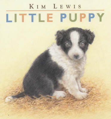 Book cover for Little Puppy Board Book