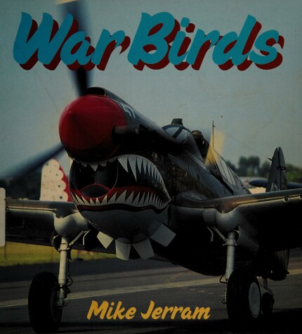 Book cover for Warbirds