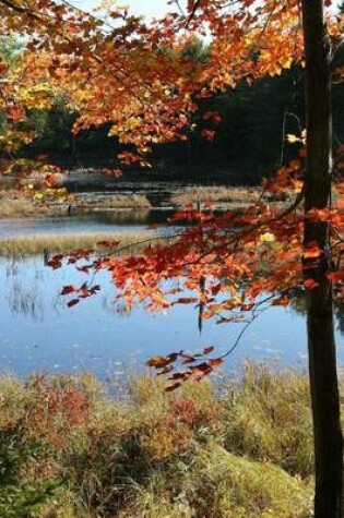 Cover of Acadia National Park in Fall, for the Love of Maine