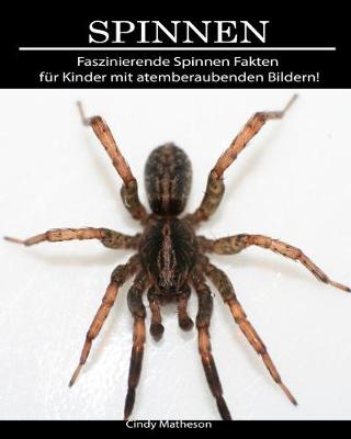 Book cover for Spinnen