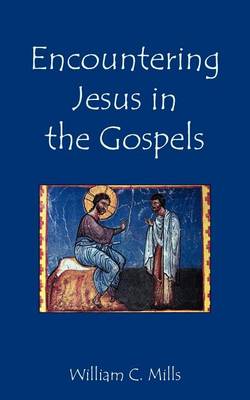 Book cover for Encountering Jesus in the Gospels