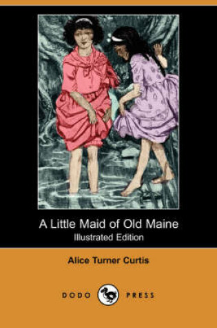 Cover of A Little Maid of Old Maine(Dodo Press)