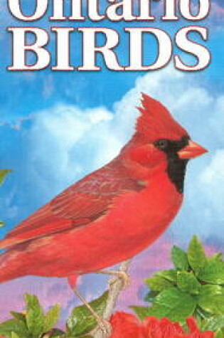 Cover of Quick Reference to Ontario Birds