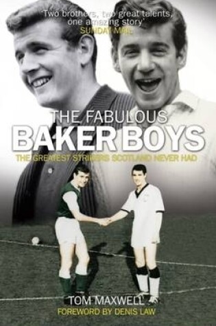 Cover of The Fabulous Baker Boys