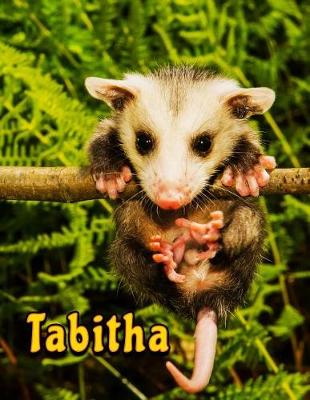 Book cover for Tabitha