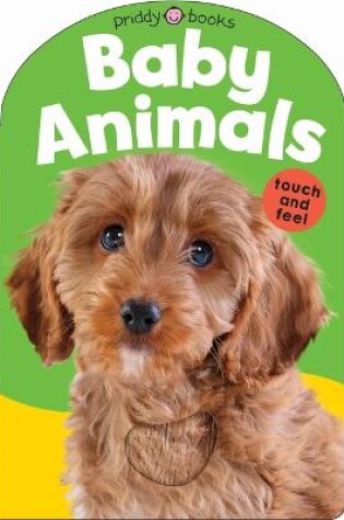 Cover of Baby Touch & Feel: Baby Animals