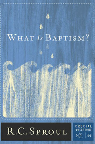 Cover of What Is Baptism?