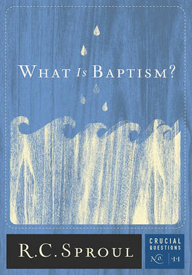 Book cover for What Is Baptism?