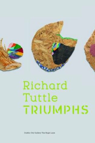 Cover of Richard Tuttle: Triumphs