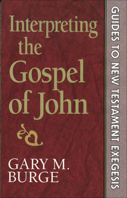 Book cover for Interpreting the Gospel of John