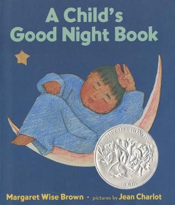 Book cover for A Child's Good Night Book