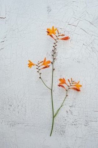 Cover of Orange Crocosmia Flower Journal