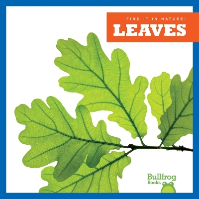 Book cover for Leaves