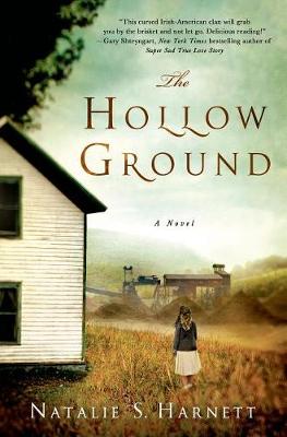 Book cover for The Hollow Ground