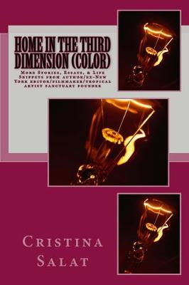 Book cover for Home in the Third Dimension (color)