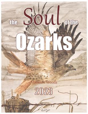 Book cover for The Soul of the Ozarks