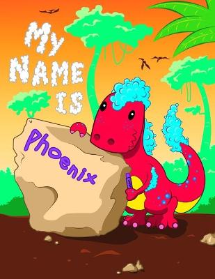 Book cover for My Name is Phoenix