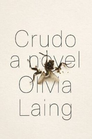 Cover of Crudo