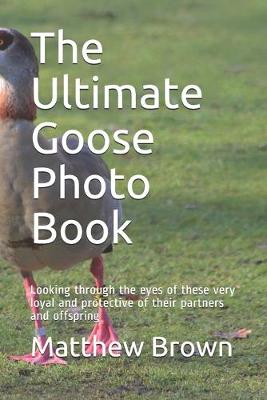 Book cover for The Ultimate Goose Photo Book