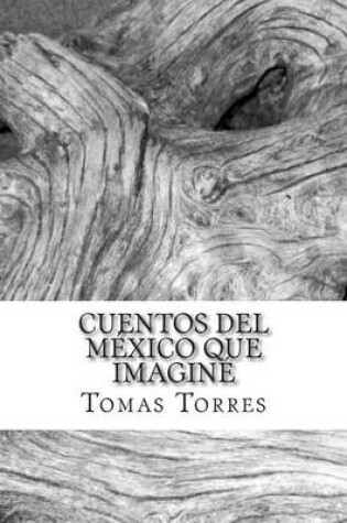 Cover of Cuentos del Mexico que imagine