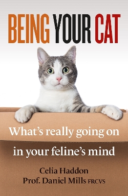 Book cover for Being Your Cat