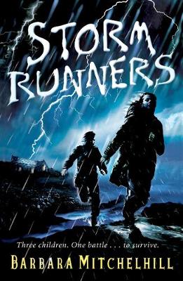 Book cover for Storm Runners
