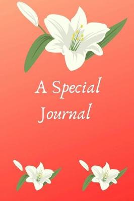 Book cover for A Special Journal