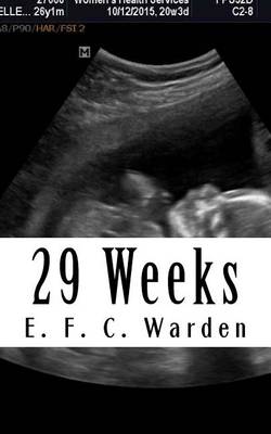 Book cover for 29 Weeks