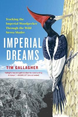 Book cover for Imperial Dreams